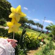 ヒメ日記 2026/08/23 13:21 投稿 かなで ぽちゃLOVE(サンライズグループ)