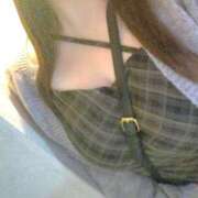 ぽん ご報告。 ぽちゃLOVE(サンライズグループ)