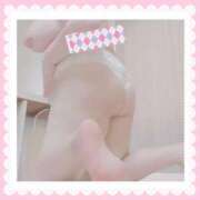 ぽん 確定。 ぽちゃLOVE(サンライズグループ)