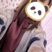 ヒメ日記 2024/12/20 11:08 投稿 えりか 静岡駅前ちゃんこ