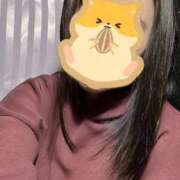 ヒメ日記 2025/02/01 11:18 投稿 えりか 静岡駅前ちゃんこ