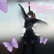 ヒメ日記 2025/04/20 15:46 投稿 るう 神栖レッドダイヤ