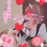 ヒメ日記 2025/11/02 22:36 投稿 るう 神栖レッドダイヤ