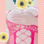 ヒメ日記 2024/12/14 14:57 投稿 ほまれ 熟女家 梅田店