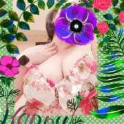 ヒメ日記 2025/08/30 17:27 投稿 ほまれ 熟女家 梅田店