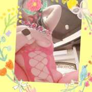 ヒメ日記 2026/06/26 15:37 投稿 ほまれ 熟女家 梅田店