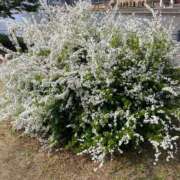 ヒメ日記 2025/04/21 22:19 投稿 きらり One More奥様　八王子店