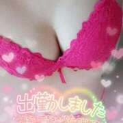 ヒメ日記 2025/02/09 11:53 投稿 しゅり サマンサ(和歌山)