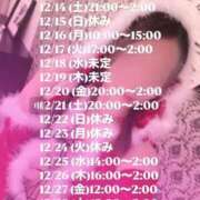 ヒメ日記 2024/12/18 13:14 投稿 みおん 佐賀人妻デリヘル 「デリ夫人」