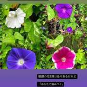 ヒメ日記 2025/03/17 18:05 投稿 みおん 佐賀人妻デリヘル 「デリ夫人」