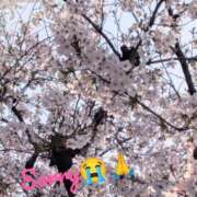 ヒメ日記 2025/04/03 12:05 投稿 中江 品川やすらぎ