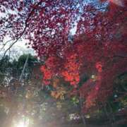 なつ 来週の出勤予定 熟女の風俗最終章 池袋店