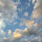 ヒメ日記 2024/12/13 12:58 投稿 おとは 神戸・明石素人宅急便