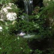 ヒメ日記 2025/04/04 14:28 投稿 おとは 神戸・明石素人宅急便