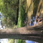 ヒメ日記 2025/05/30 13:47 投稿 おとは 神戸・明石素人宅急便