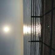 ヒメ日記 2025/11/22 14:51 投稿 おとは 神戸・明石素人宅急便