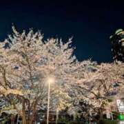 ヒメ日記 2026/04/04 12:49 投稿 AIRI GINGIRA☆TOKYO～ギンギラ東京～