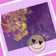 ヒメ日記 2025/04/01 05:45 投稿 りお 神戸・明石素人宅急便