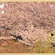 ヒメ日記 2025/04/14 06:00 投稿 りお 神戸・明石素人宅急便