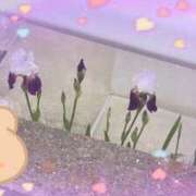 ヒメ日記 2025/05/09 23:23 投稿 りお 神戸・明石素人宅急便