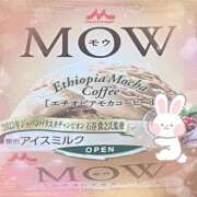 ヒメ日記 2025/07/28 03:08 投稿 りお 神戸・明石素人宅急便