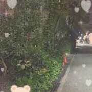 ヒメ日記 2025/10/08 01:55 投稿 りお 神戸・明石素人宅急便