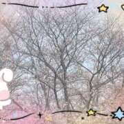 ヒメ日記 2026/04/18 21:05 投稿 りお 神戸・明石素人宅急便