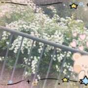 ヒメ日記 2026/04/29 19:56 投稿 りお 神戸・明石素人宅急便