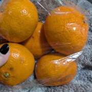 ヒメ日記 2024/12/21 02:36 投稿 いずみ 神戸・明石素人宅急便