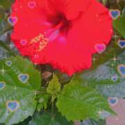 ヒメ日記 2025/07/02 17:43 投稿 いずみ 神戸・明石素人宅急便