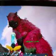 ヒメ日記 2026/02/23 00:15 投稿 いずみ 神戸・明石素人宅急便