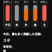 ヒメ日記 2026/02/25 00:05 投稿 いずみ 神戸・明石素人宅急便