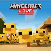 ヒメ日記 2026/03/24 02:33 投稿 いずみ 神戸・明石素人宅急便