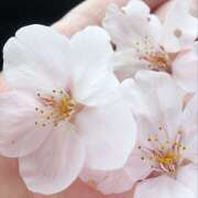 ヒメ日記 2026/04/09 23:22 投稿 いずみ 神戸・明石素人宅急便