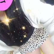 ヒメ日記 2024/12/17 20:02 投稿 めいさ しろうさぎ