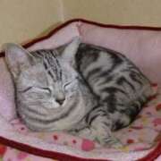 ヒメ日記 2025/01/02 17:31 投稿 めいさ しろうさぎ