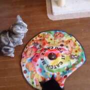 ヒメ日記 2025/01/06 02:01 投稿 めいさ しろうさぎ