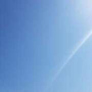 ヒメ日記 2025/04/10 10:43 投稿 めいさ しろうさぎ