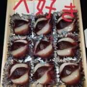 ヒメ日記 2025/04/21 01:43 投稿 めいさ しろうさぎ