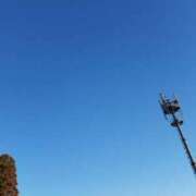 ヒメ日記 2025/04/27 08:03 投稿 めいさ しろうさぎ