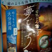 ヒメ日記 2025/05/07 04:03 投稿 めいさ しろうさぎ