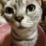 ヒメ日記 2025/05/16 08:23 投稿 めいさ しろうさぎ