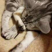 ヒメ日記 2025/06/01 19:23 投稿 めいさ しろうさぎ