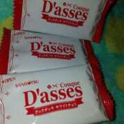 ヒメ日記 2025/06/05 07:43 投稿 めいさ しろうさぎ