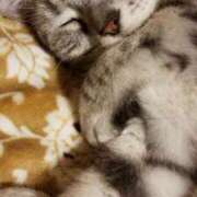 ヒメ日記 2025/06/08 07:33 投稿 めいさ しろうさぎ