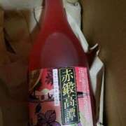 ヒメ日記 2025/10/06 02:23 投稿 めいさ しろうさぎ