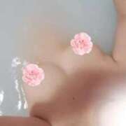 ヒメ日記 2025/10/26 09:03 投稿 めいさ しろうさぎ