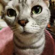 ヒメ日記 2025/12/18 13:33 投稿 めいさ しろうさぎ