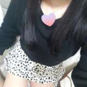 ヒメ日記 2025/12/31 21:33 投稿 めいさ しろうさぎ