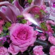 ヒメ日記 2026/01/03 03:13 投稿 めいさ しろうさぎ